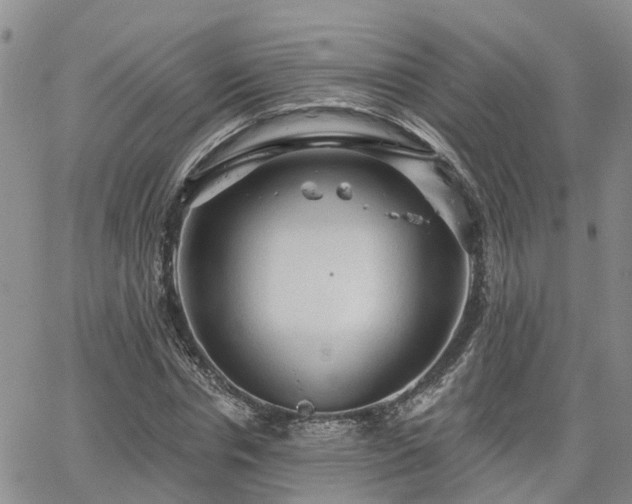 X0000063480826200601231344