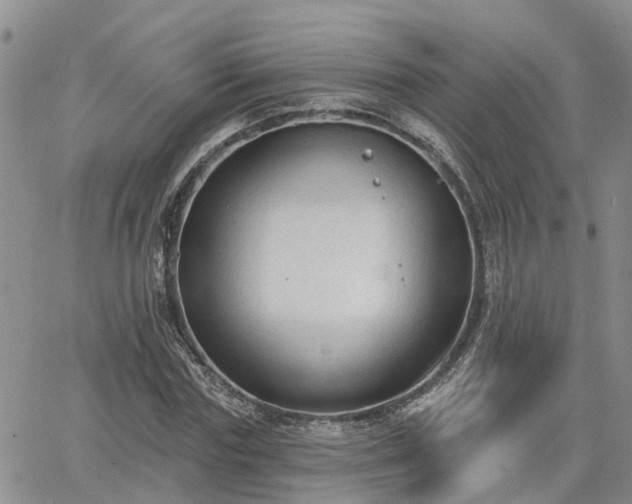 X0000063480827200601231344