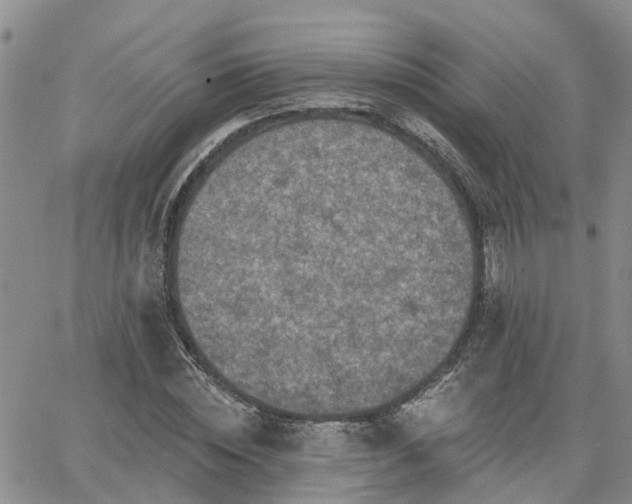 X0000063480828200601231344