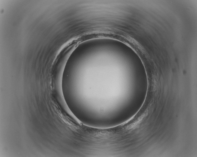 X0000063480830200601231345