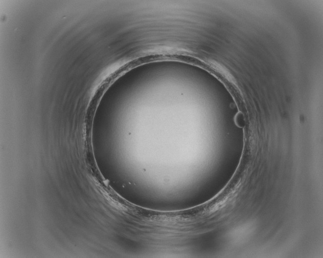 X0000063480831200601231345