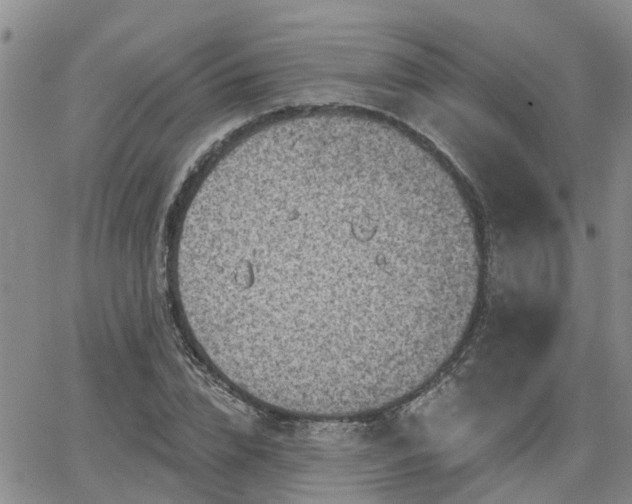 X0000063480832200601231345