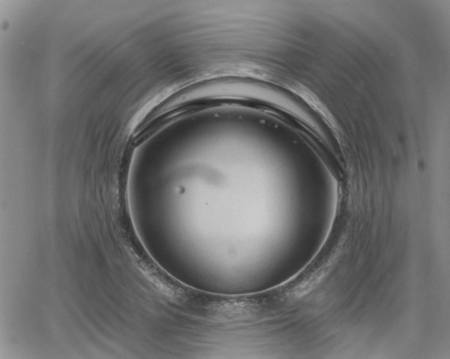 X0000063480834200601231345