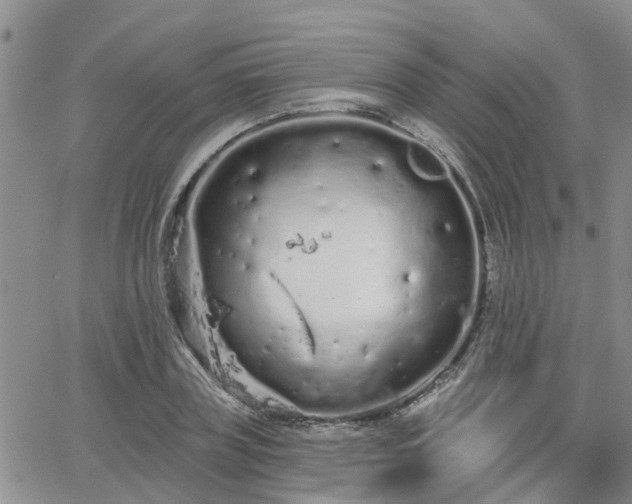 X0000063480835200601231345