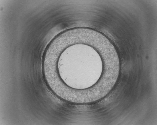 X0000063480836200601231345