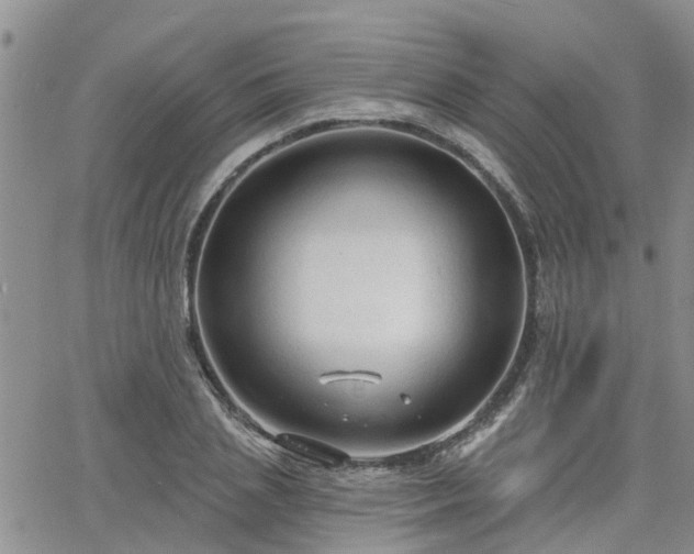 X0000063480837200601231345