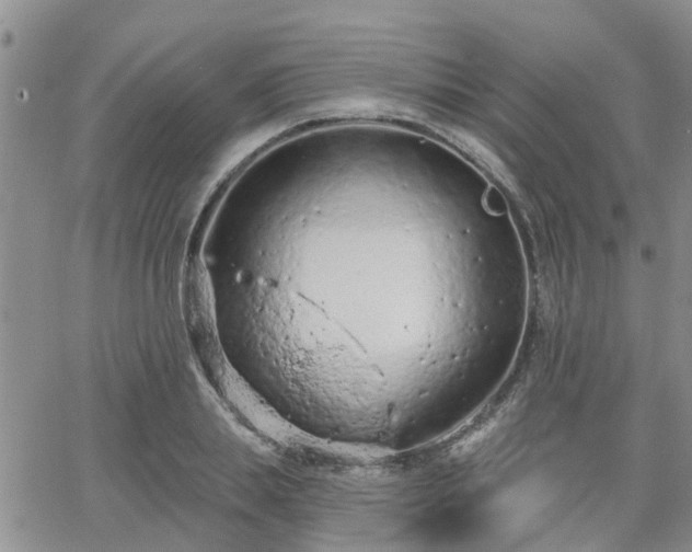 X0000063480839200601231345