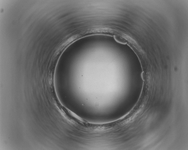 X0000063480841200601231345