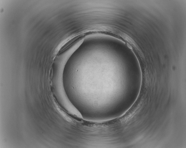 X0000063480842200601231345