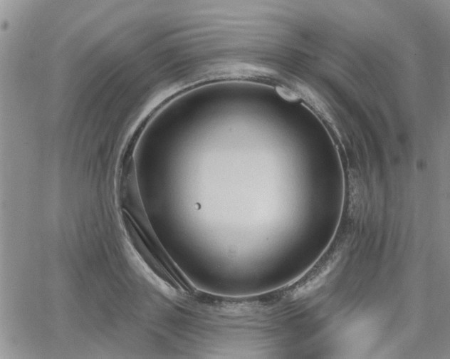 X0000063480843200601231345