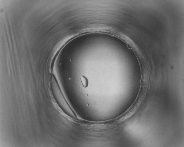 X0000063480844200601231345