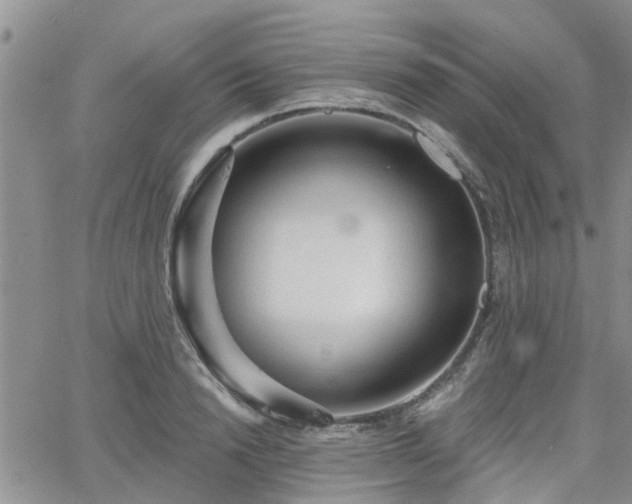 X0000063480846200601231345