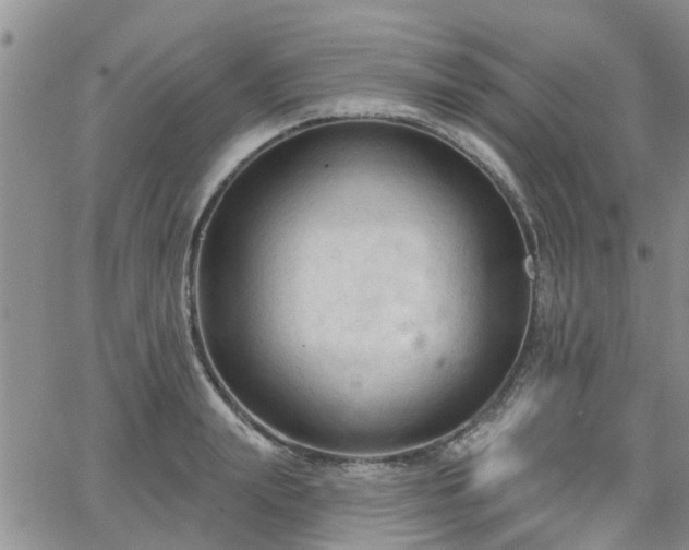 X0000063480847200601231345