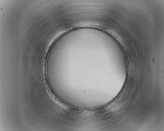 X0000063480848200601231345