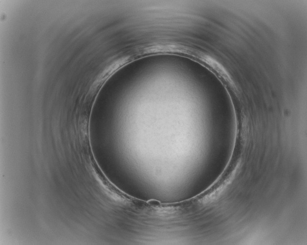 X0000063480849200601231345