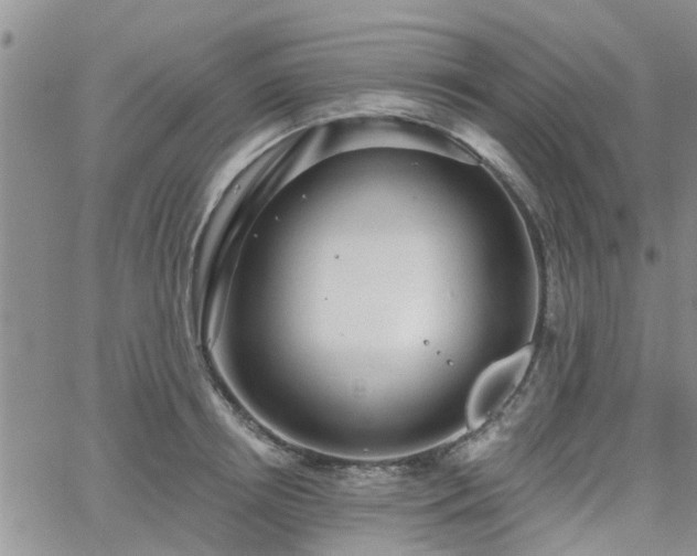 X0000063480850200601231345