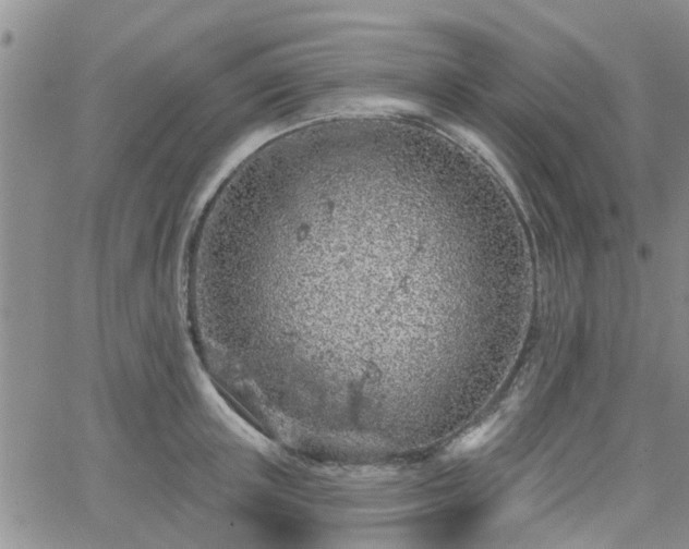 X0000063480851200601231345