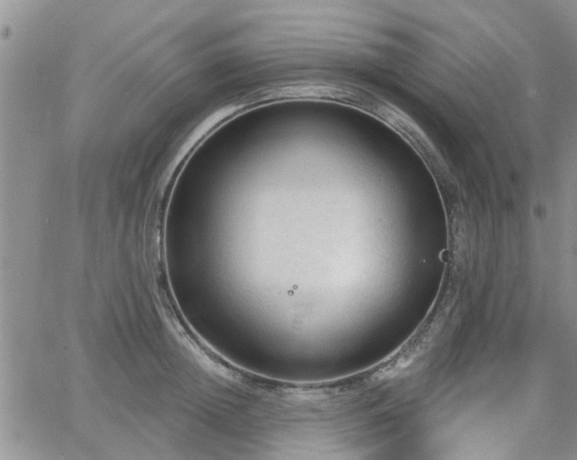 X0000063480852200601231345