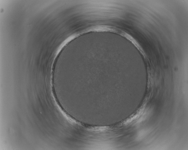 X0000063480853200601231345