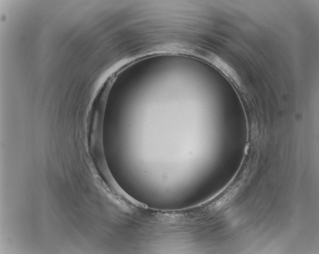 X0000063480854200601231345