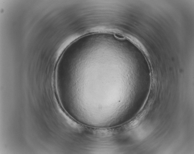 X0000063480855200601231345