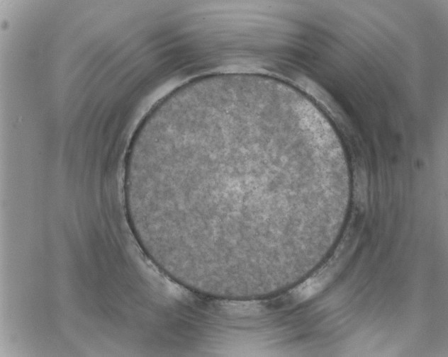 X0000063480856200601231345