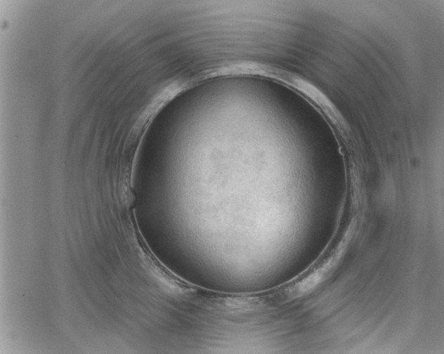 X0000063480857200601231345