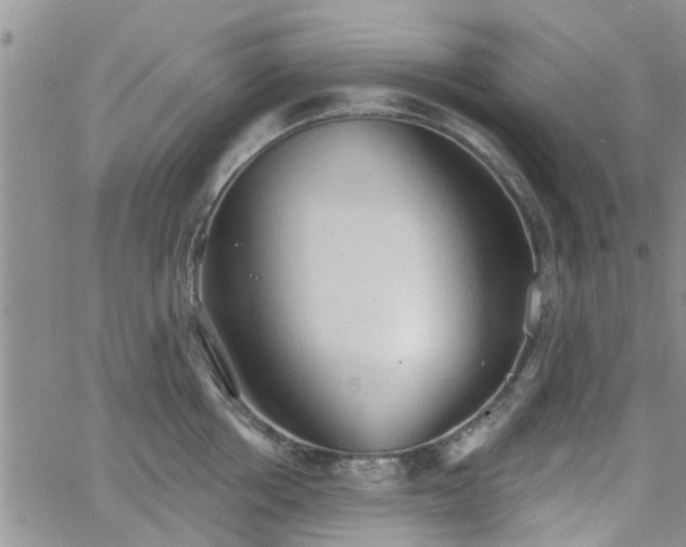 X0000063480858200601231345