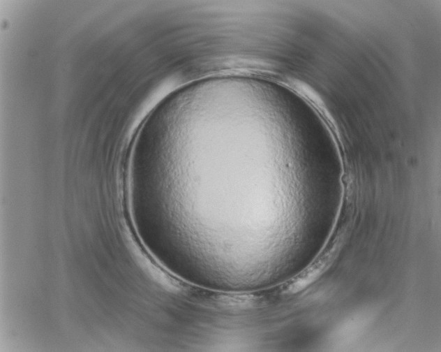 X0000063480859200601231345