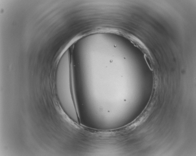 X0000063480860200601231345