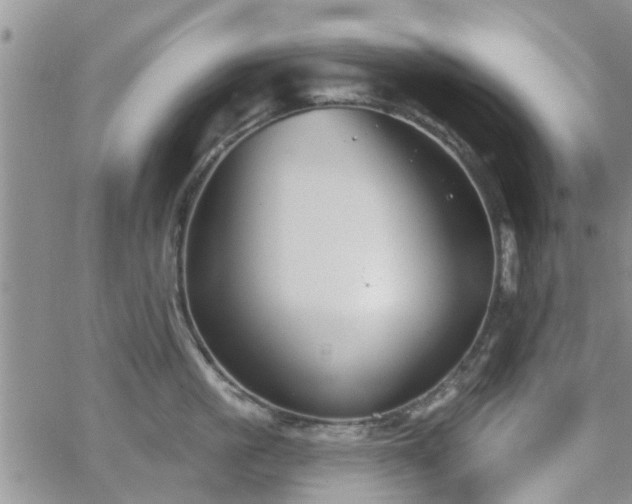 X0000063480861200601231345