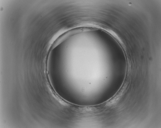 X0000063480862200601231345