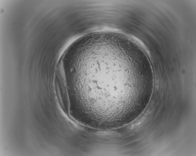 X0000063480863200601231345