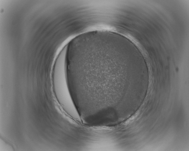 X0000063480864200601231345