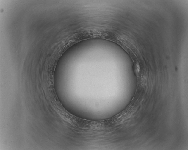 X0000063480865200601231344