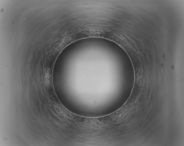 X0000063480866200601231344