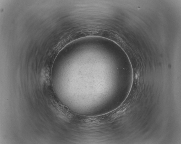 X0000063480867200601231344