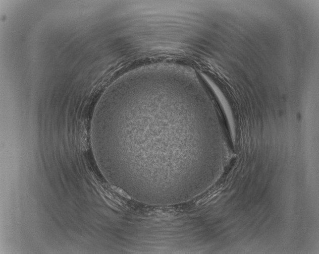 X0000063480868200601231344