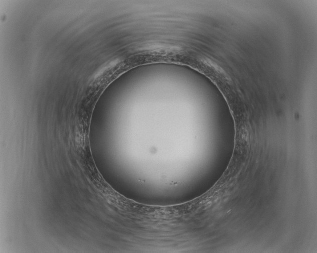 X0000063480869200601231344