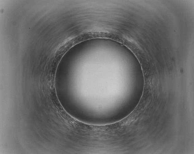 X0000063480870200601231344