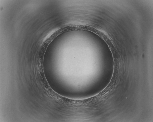 X0000063480871200601231344