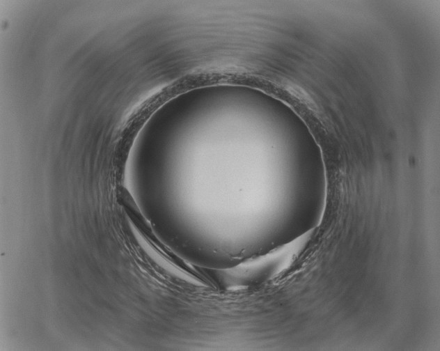 X0000063480872200601231344