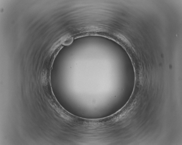 X0000063480873200601231344