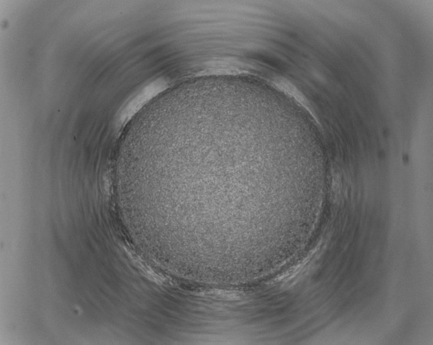 X0000063480874200601231344