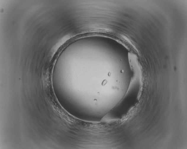 X0000063480875200601231344