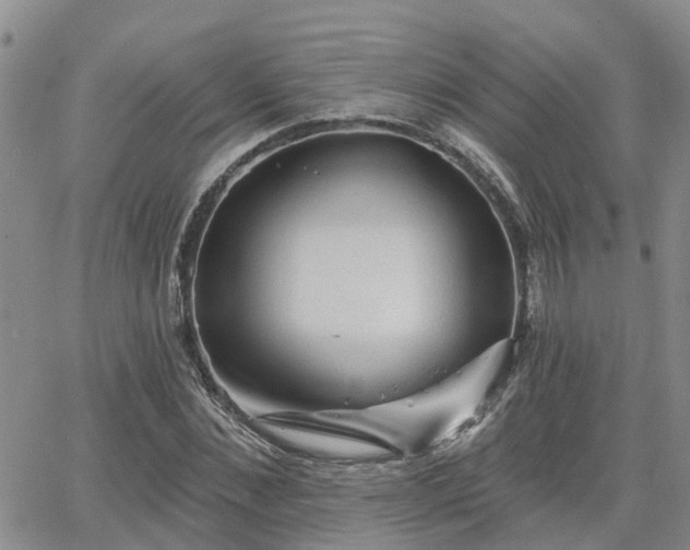 X0000063480876200601231344