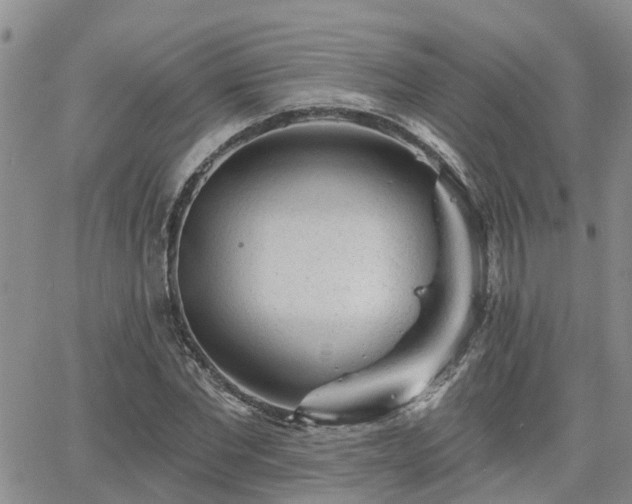 X0000063480877200601231344