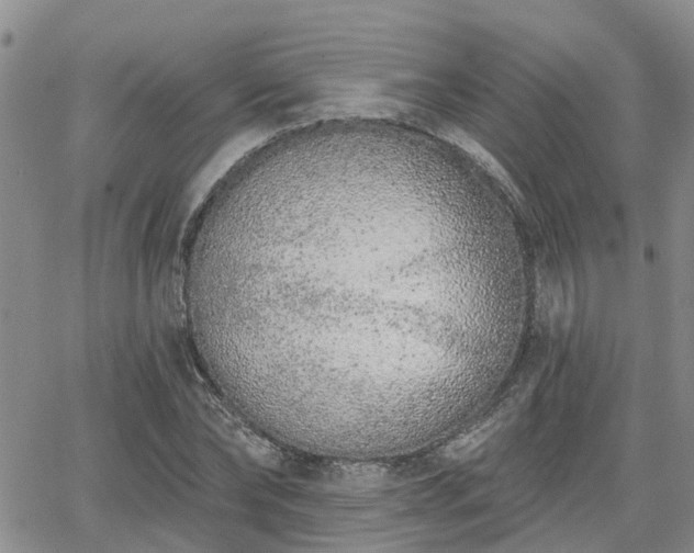 X0000063480878200601231344