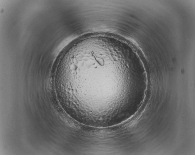 X0000063480879200601231344