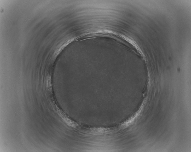 X0000063480881200601231344